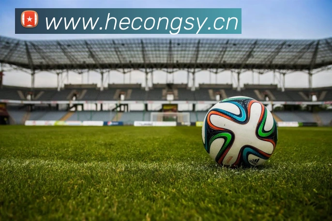 华体hth登录入口APP 高清赛事图